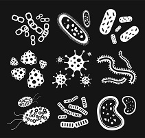 microbe-200.jpg