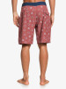 Quiksilver Highline Sol Boardshorts