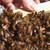 Frame of Honey Bees