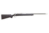 Remington 700 Sendero SF II 25-06 (25643)