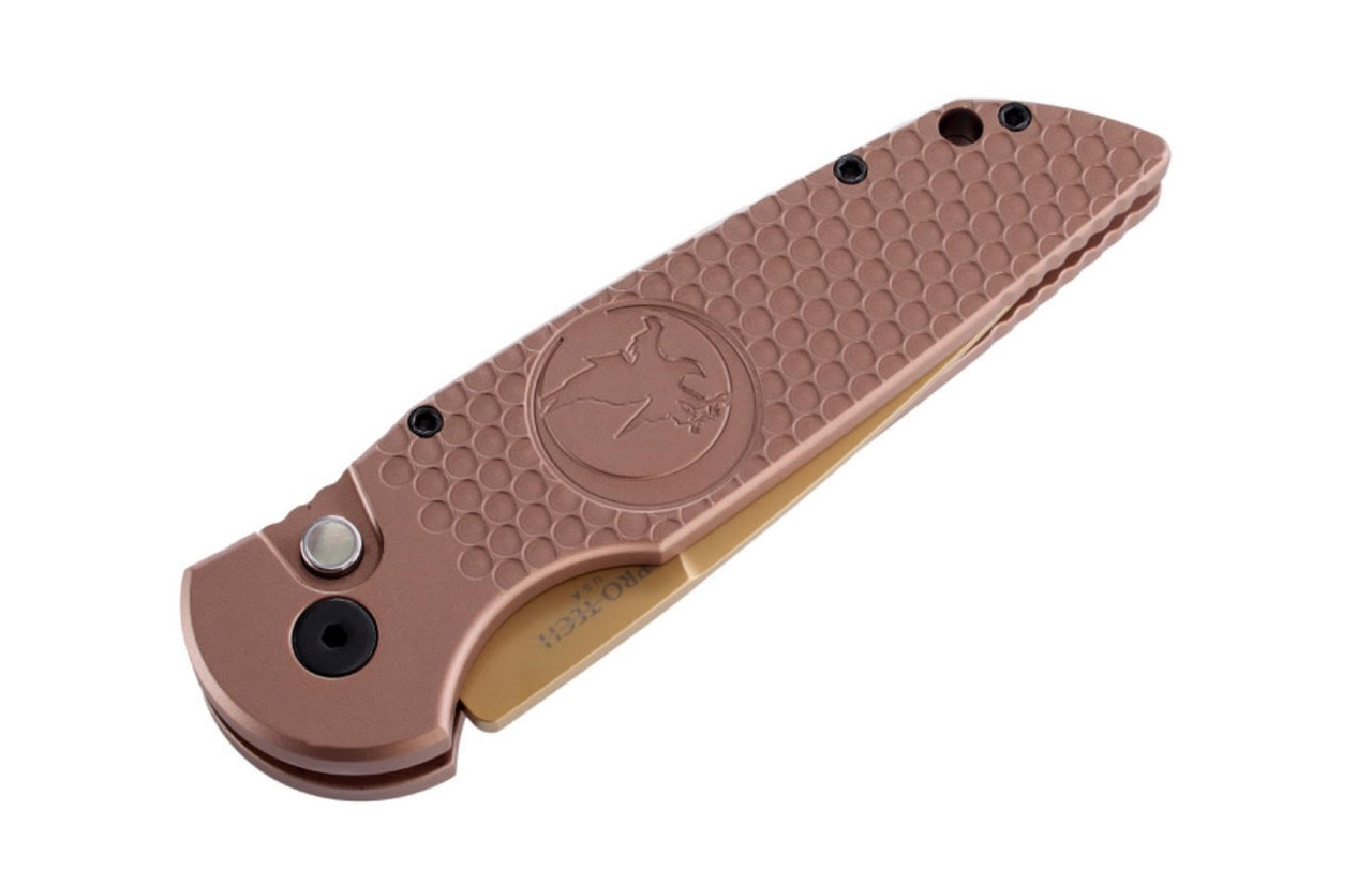 Nighthawk Custom ProTech TR-3 Knife - Sand Hawk Edition