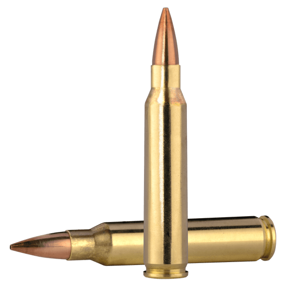Norma MLE 70gr Barnes TSX 5.56 NATO - 20 Rd Box, 601704041, 810036152471