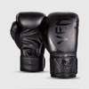 Venum Challenger 2.0 Boxing Gloves (Black/Black)