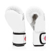 Fairtex Boxing Gloves White (BGV1) Fairtex Boxing Gloves White (BGV1)