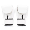 Fairtex Boxing Gloves White (BGV1) Fairtex Boxing Gloves White (BGV1)