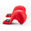 CORE kumite karate mitts