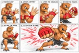 Boxing Hand Wraps: Fight vs Training, and Do They Work? (NZ Guide for Martial Artists)