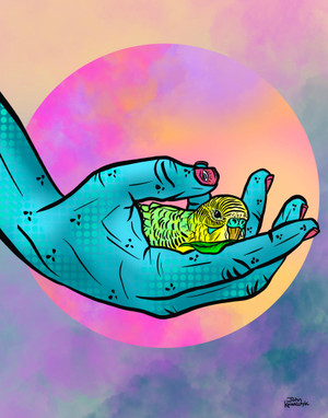 "A Budgie in Hand with a Full Moon" Digital Print