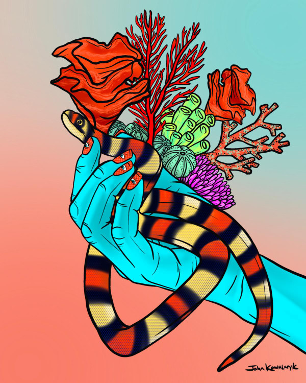 "Coral Snake" Digital Print