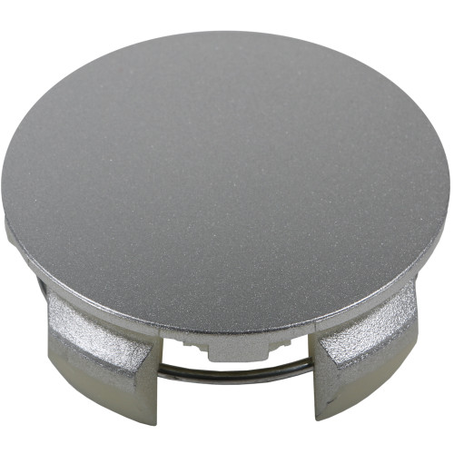 Metallic Silver Cap