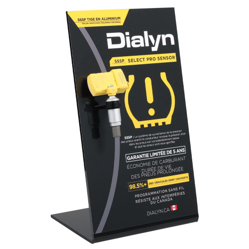 Dialyn TPMS Display - French
