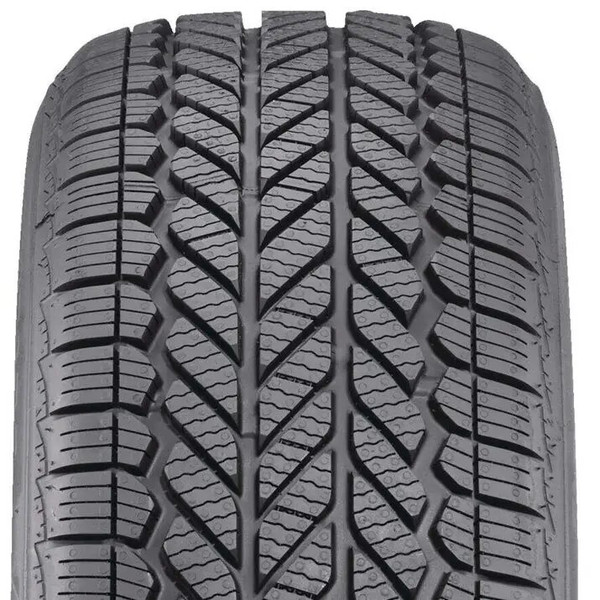 Bridgestone Weatherpeak 225/55R19 99V