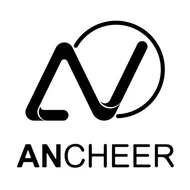 Ancheer Professional Assembly and Installation Services