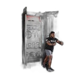 FT-1 Functional Trainer Assembly