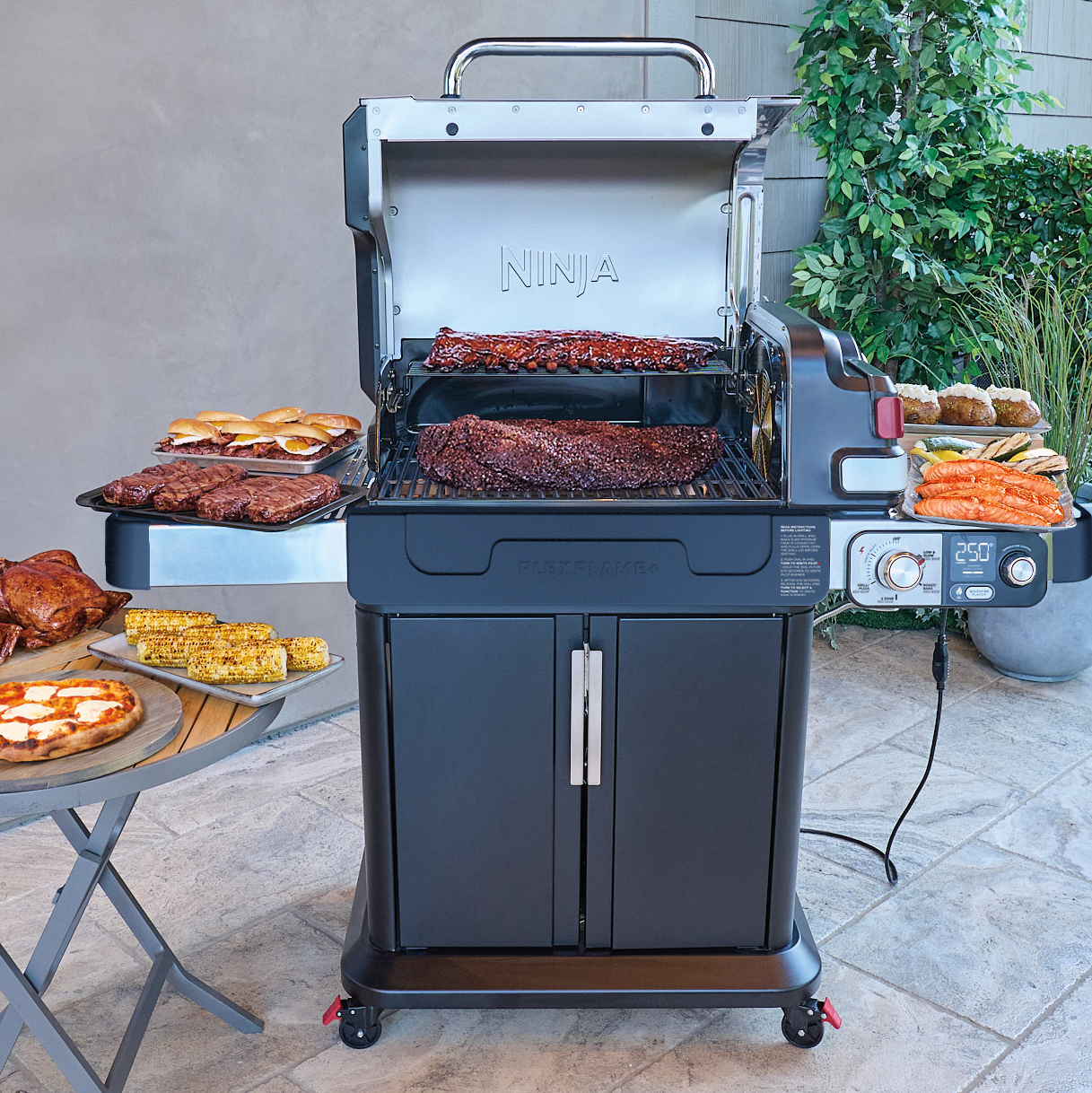 Ninja FlexFlame Assembly