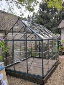Canopia by Palram Harmony Greenhouse assembled by a HandyBuddy expert in Renton, WA · Apr 2026