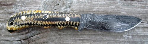 Lacy Smith - Damascus Skinner - SK0118-FLS