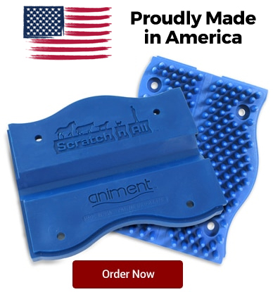 blue-pads-order-now.jpg blue-pads-order-now.jpg