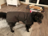Waxed Canvas Dog Vest - Olive Drab Cotton Duck Clot - Pet Safe Fabric