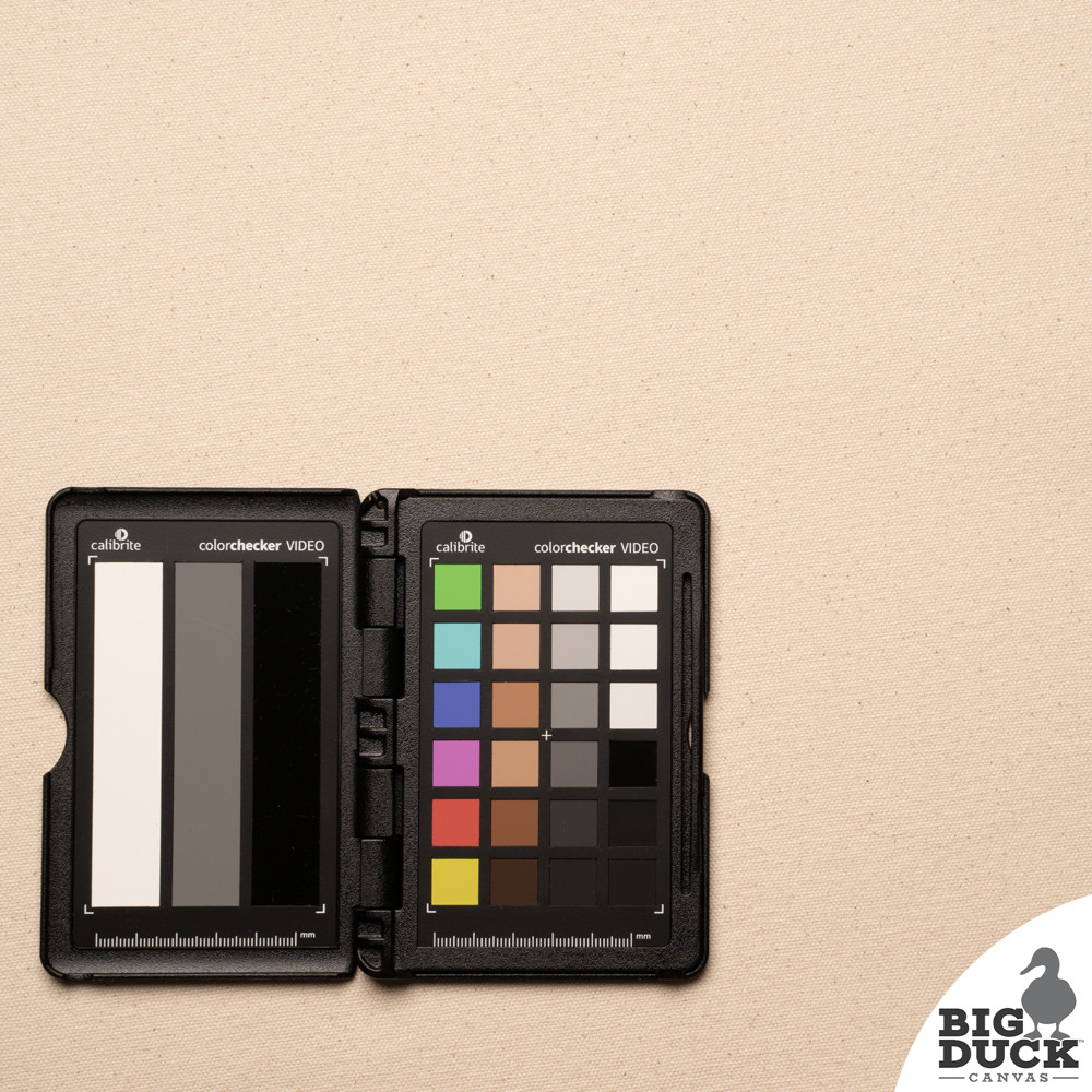 サイズ3 PRODUCT DYED COTTON DUCK PAINTER AURALEE PRODUCT DYED ORGANIC COTTON DUCK PAINTE