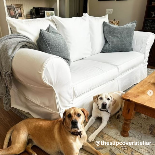 White cotton canvas slipcover on sofa with dogs - extra durable fabric White cotton canvas slipcover on sofa with dogs - extra durable fabric