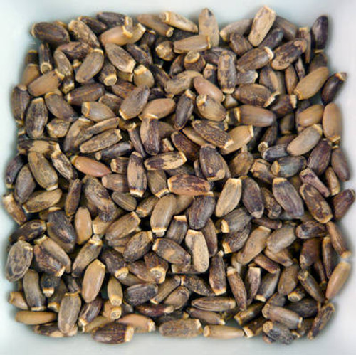 Milk Thistle Seed