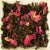 China Rose Black Tea
