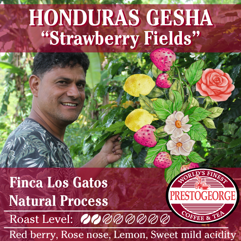 Gesha Geisha coffee from Honduras available at Prestogeorge Coffee in Pittsburgh