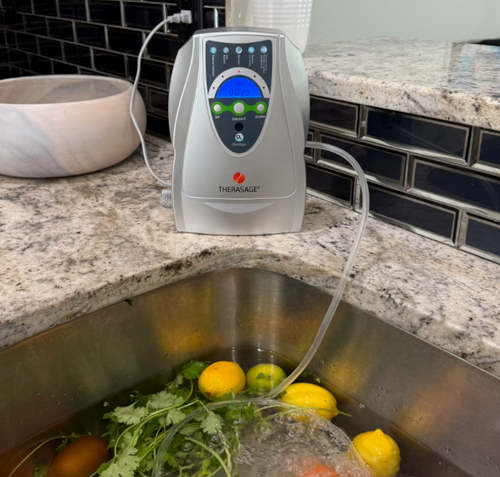 TheraO3 Ozone Bubbler 110V