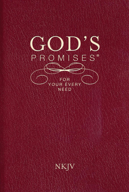 Promise Bible for Your Every Need with bookmark and encouragement.