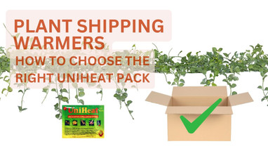 Plant Shipping Warmers – How to Choose the Right UniHeat Pack