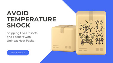Shipping Live Insects & Feeders Without Temperature Shock Shipping Live Insects & Feeders Without Temperature Shock