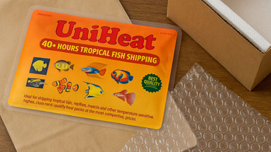 Top 3 Packing Materials to Pair with Heat Packs