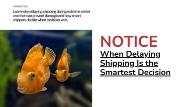 When Delaying Shipping Is the Smartest Decision