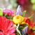What's in Fresh - Bright Mix