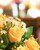 Honey- Designer's Best