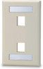 2 Port Single Gang Face Plate with Labeling Windows