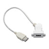 USB 2.0 Keystone Panel Mount Coupler Cable F/F  Angled Connector White 1 ft.