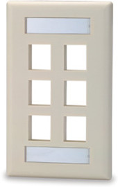 6 Port Single Gang Face Plate with Labeling Windows