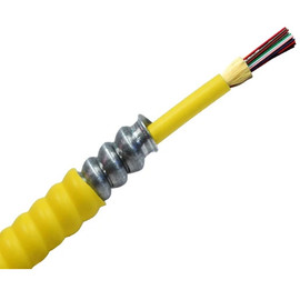 Armored Fiber Optic Cable 12 Fiber Singlemode 10 Gig OS2 Riser