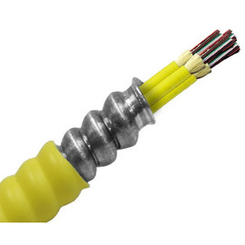 Armored Fiber Optic Cable 48 Fiber Singlemode 10 Gig OS2 Riser Armored Fiber Optic Cable 48 Fiber Singlemode 10 Gig OS2 Riser