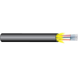 24F Indoor/Outdoor 50/125 MM 10 Gig OM3 Fiber Optic Cable Plenum