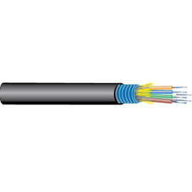 6 Fiber OM4 50/125um Indoor Outdoor OFCP 10 Gig Interlocked Armor Distribution Cable 