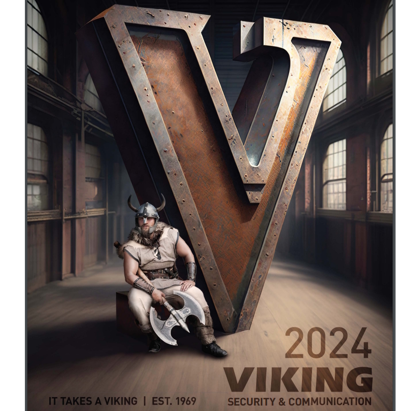 viking.jpg