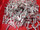 AMP TYCO Picabond Connectors Red 60947-3