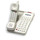 Teledex OPAL DECT 6.0 DCT2910 Guest Room Two Line Cordless Telephone OPL97359