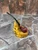 Morgan Bones Pipe Palace Finish Demi-Warden Briar Pipe