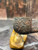  L. Roux Cogolin Vintage L. Roux Cogolin Sandblasted Briar Pipe 