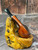 Pipe Palace Pipes Freehand Briar Pipe with Metal Accent