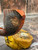 Pipe Palace Pipes Freehand Briar Pipe with Metal Accent